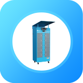 汶上蘆花雞 育成雞