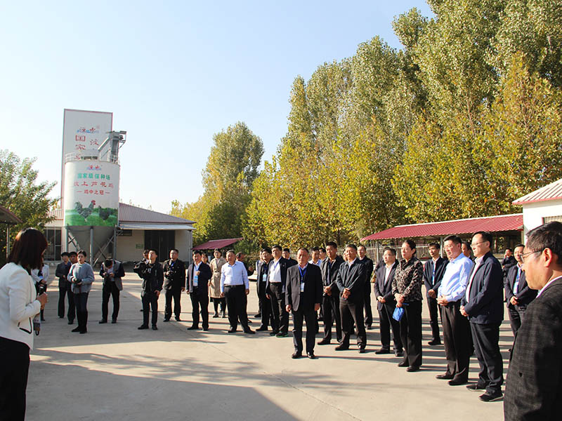 山東省食品安全市縣創建現場會在公司召開