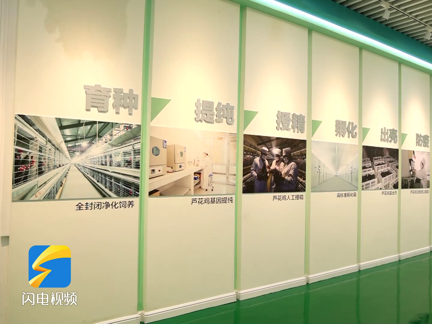 f0【齊魯網(wǎng)】濟(jì)寧2022上半年重點(diǎn)項(xiàng)目巡禮:汶上蘆花雞全產(chǎn)業(yè)鏈標(biāo)準(zhǔn)化生產(chǎn)基地項(xiàng)目8